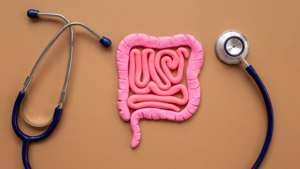 Projeto de lei para prevenção do câncer de intestino ganha destaque após falecimento de Preta Gil