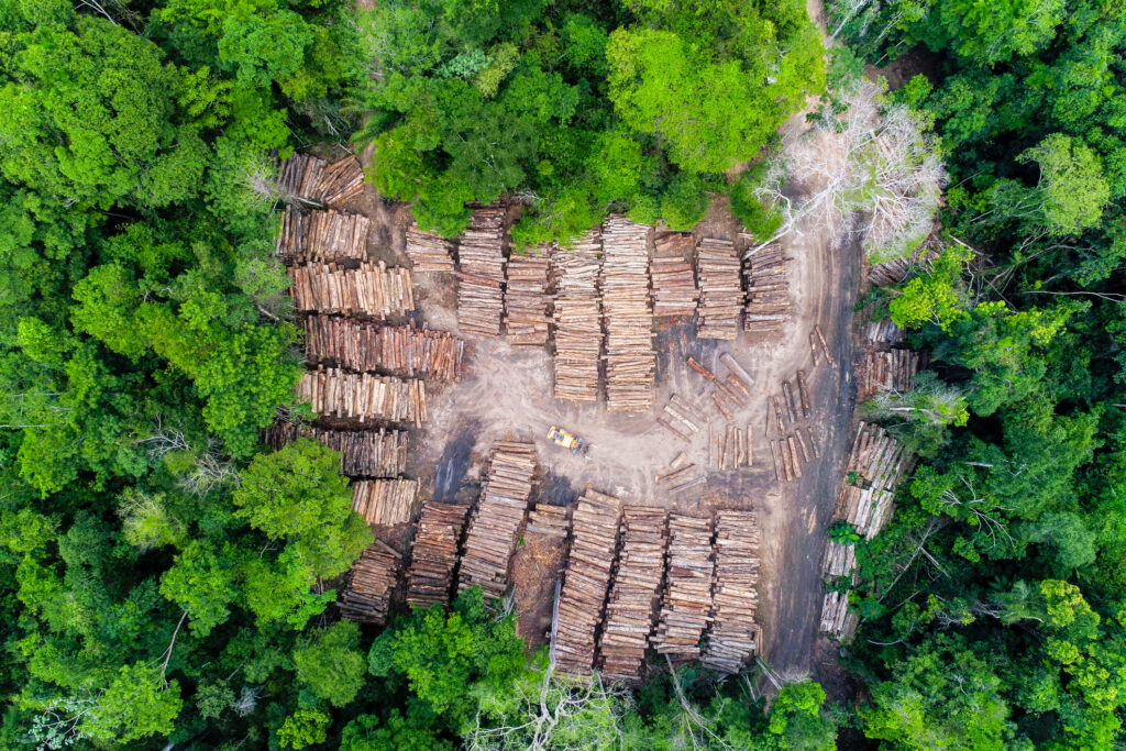 Brasil na COP26: de referência à vilão ambiental